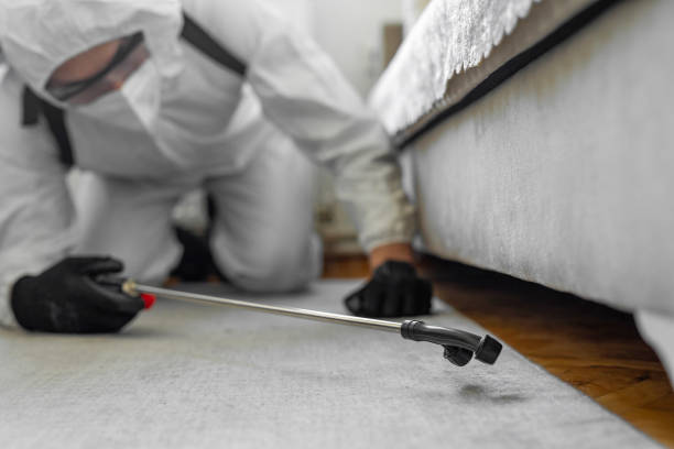 Professional Pest Control technician working in Washington County County, MO
